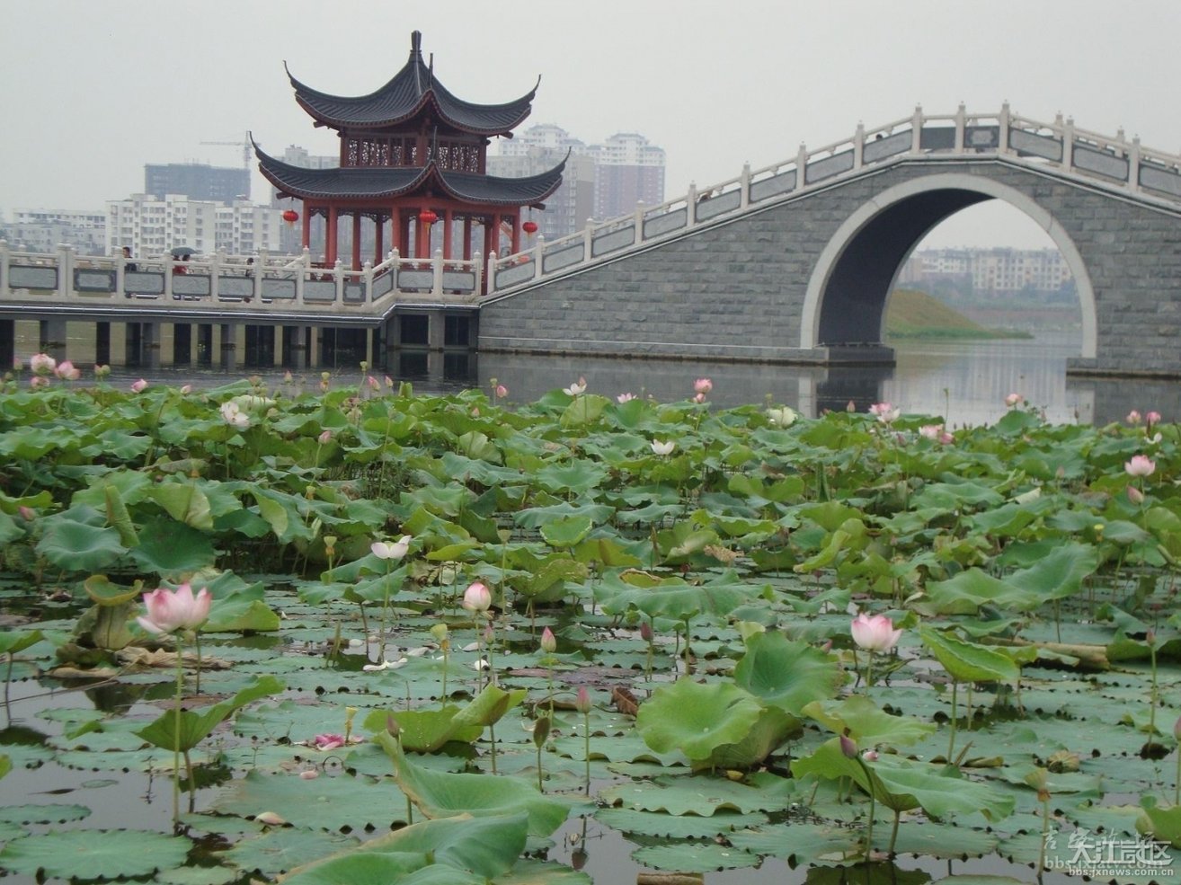 庐陵文化生态公园位于吉安市吉州区,占,五千余亩,是展示吉安优秀传统