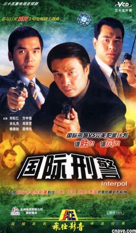 外文名称 interpol 制片地区 香港 导演 谭友业 李慧珠 邓伟恩 陈