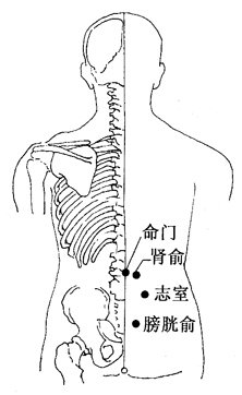 膀胱俞