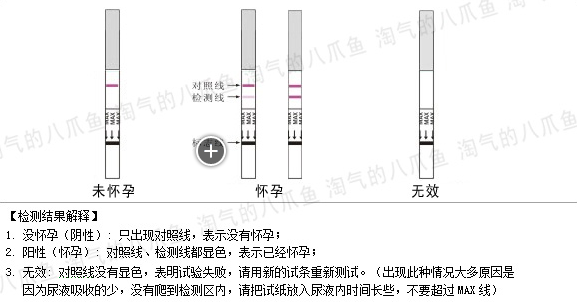 尿妊娠试验