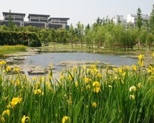 苏州大学独墅湖校区