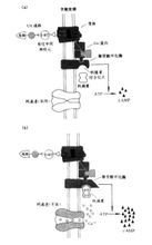 经典条件反射_360百科