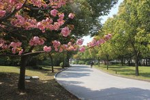 浙江财经大学成人教育学院