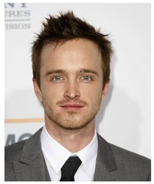 路易的第九条命