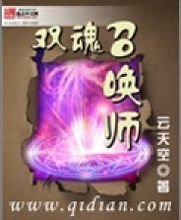 双魂召唤师