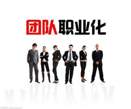 团队职业化培训