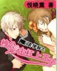 魔法学院之拽公主杠上王子