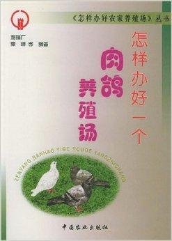 怎样办好一个肉鸽养殖场