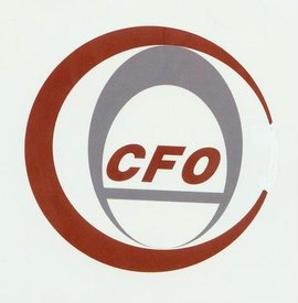 中国总会计师协会