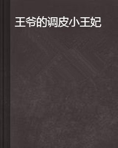 王爷的调皮小王妃