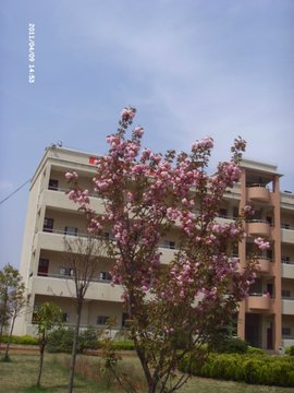 宣威市第三中学