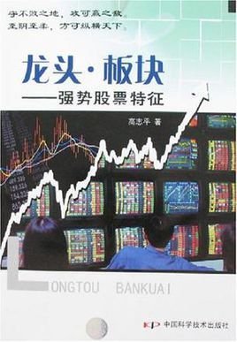 龙头·板块-强势股票特征