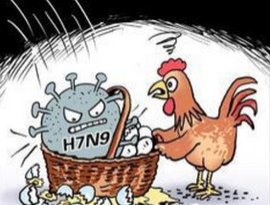 2018年H5N6禽流感疫情