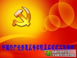 工会基层组织选举工作暂行条例