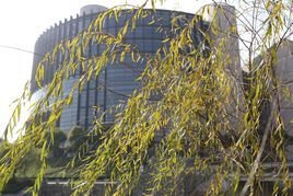 中国矿业大学旅游协会