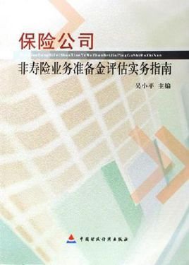 保险公司非寿险业务准备金评估实务指南
