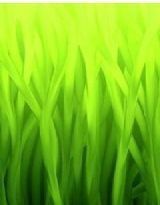 我的极品总裁老公