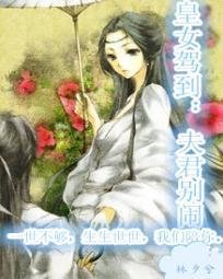女尊:桃花劫摄政王霸宠