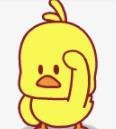 抖音小黄鸭