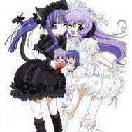 守护甜心之血泪樱花草