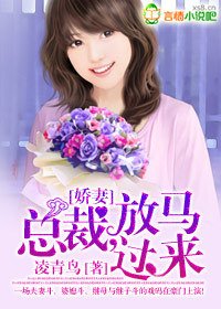 娇妻:总裁,放马过来