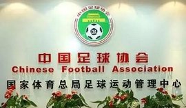 中国足球协会纪律准则及处罚办法_360百科