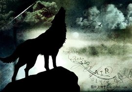 仙墓中走出的强者