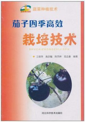 茄子四季高效栽培技术