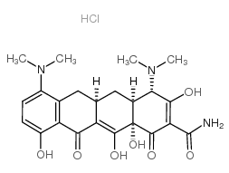 二甲胺四环素盐酸盐