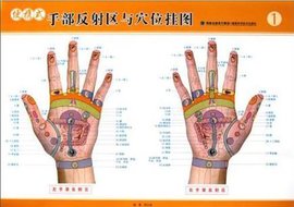 便携式手部反射区与穴位挂图
