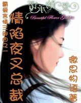 情陷夜叉总裁全文免费