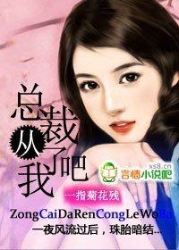 总裁大人,从了我吧