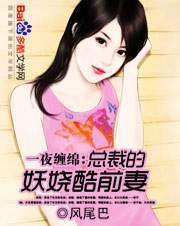 一夜缠绵:总裁的妖娆酷前妻