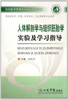 人体解剖学与组织胚胎学实验及学习指导