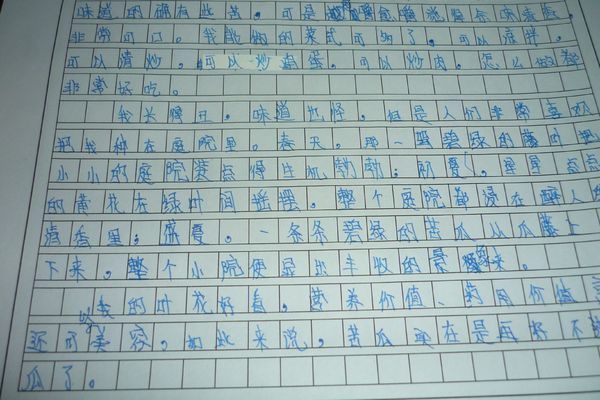小学六年级作文大全:逗笑游戏600字