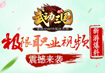 《武动三国》极限职业视频