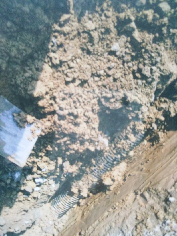 海市,邵家渡街道塘上村,五水共治工程。管道施