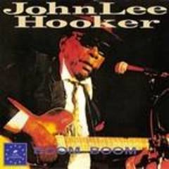 the best of john lee hooker