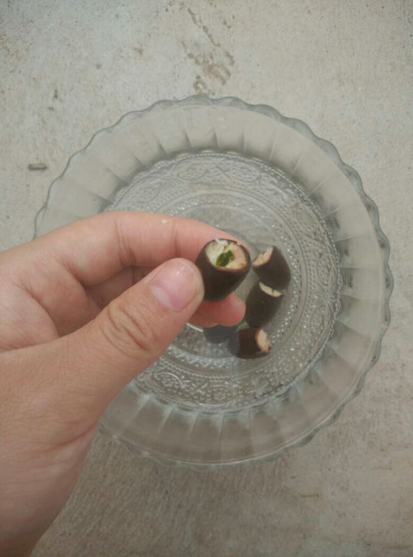 碗莲芽有点损坏怎么办?能活吗?还有白色的粘