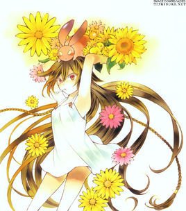 黑兔子·艾莉丝